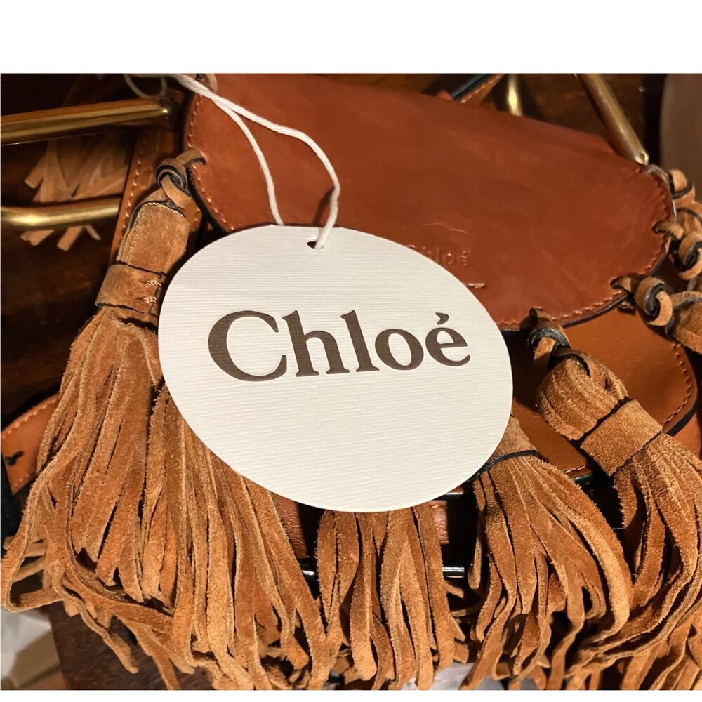 Chloé Hudson Bag Crossbody Fringe Tassel Rare Mini - Picture 15 of 15
